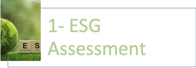 ESG assessment