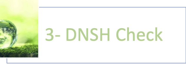 DNSH check